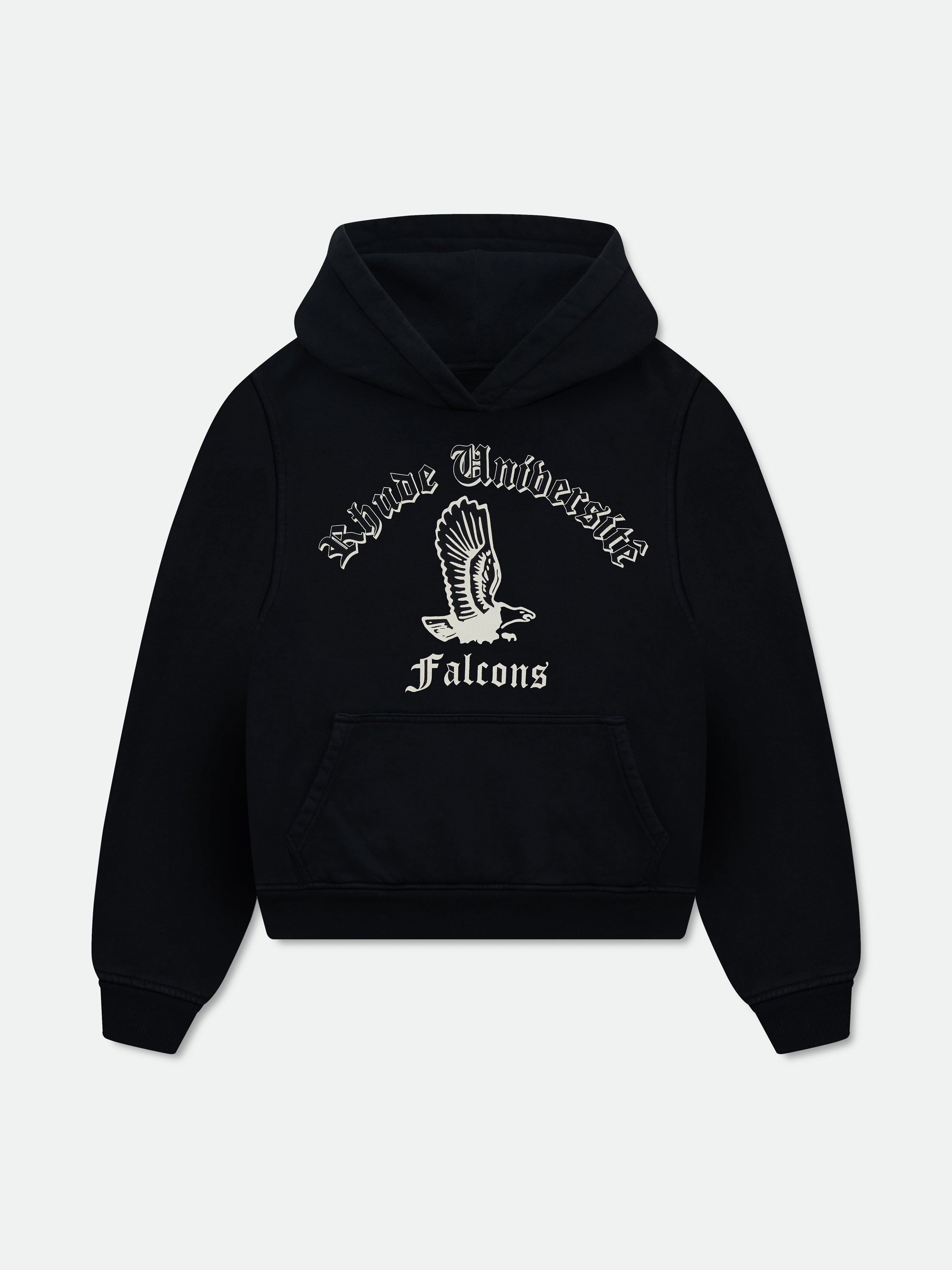 COLLEGIATE FALCONS HOODIE