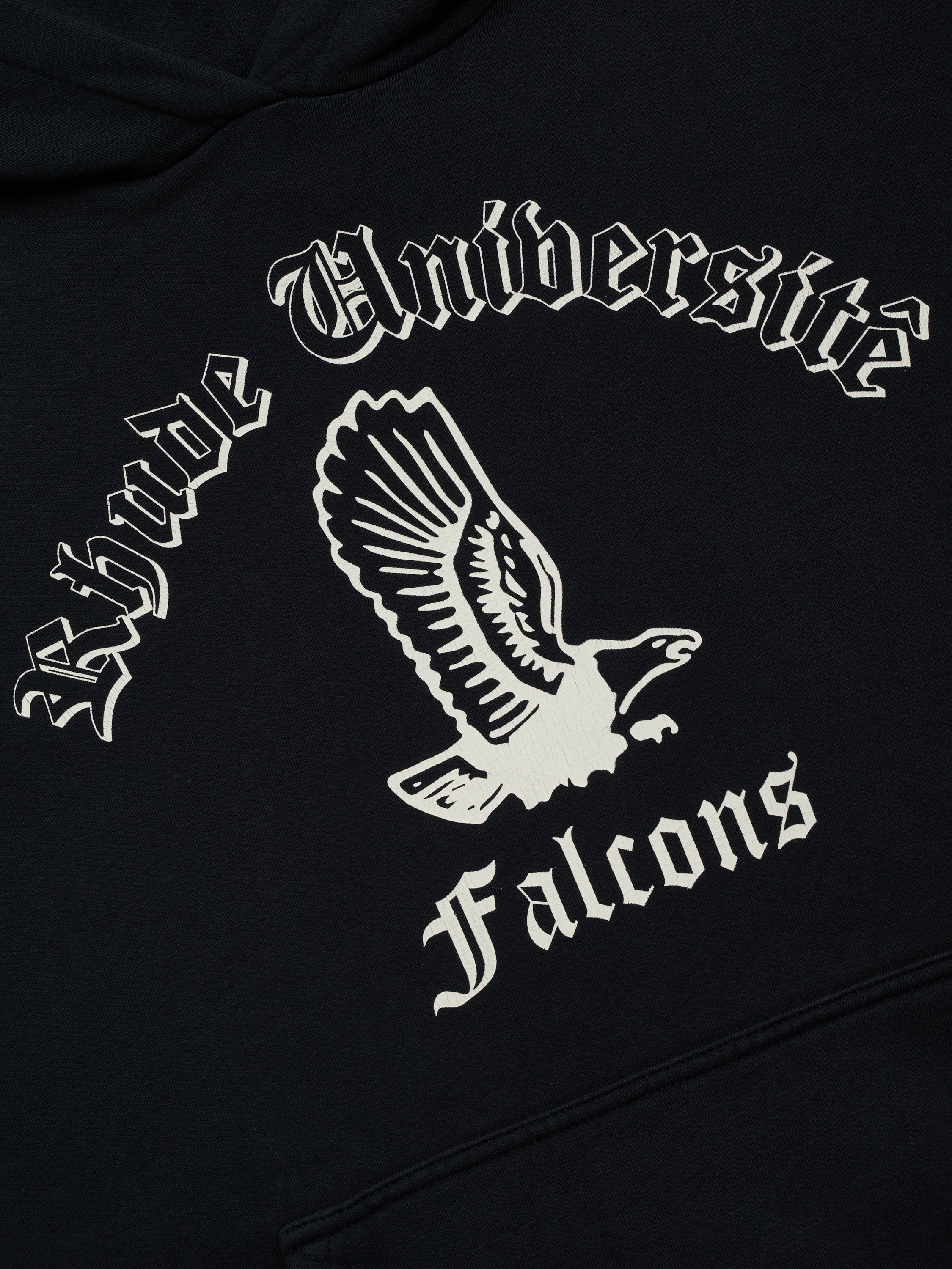 COLLEGIATE FALCONS HOODIE