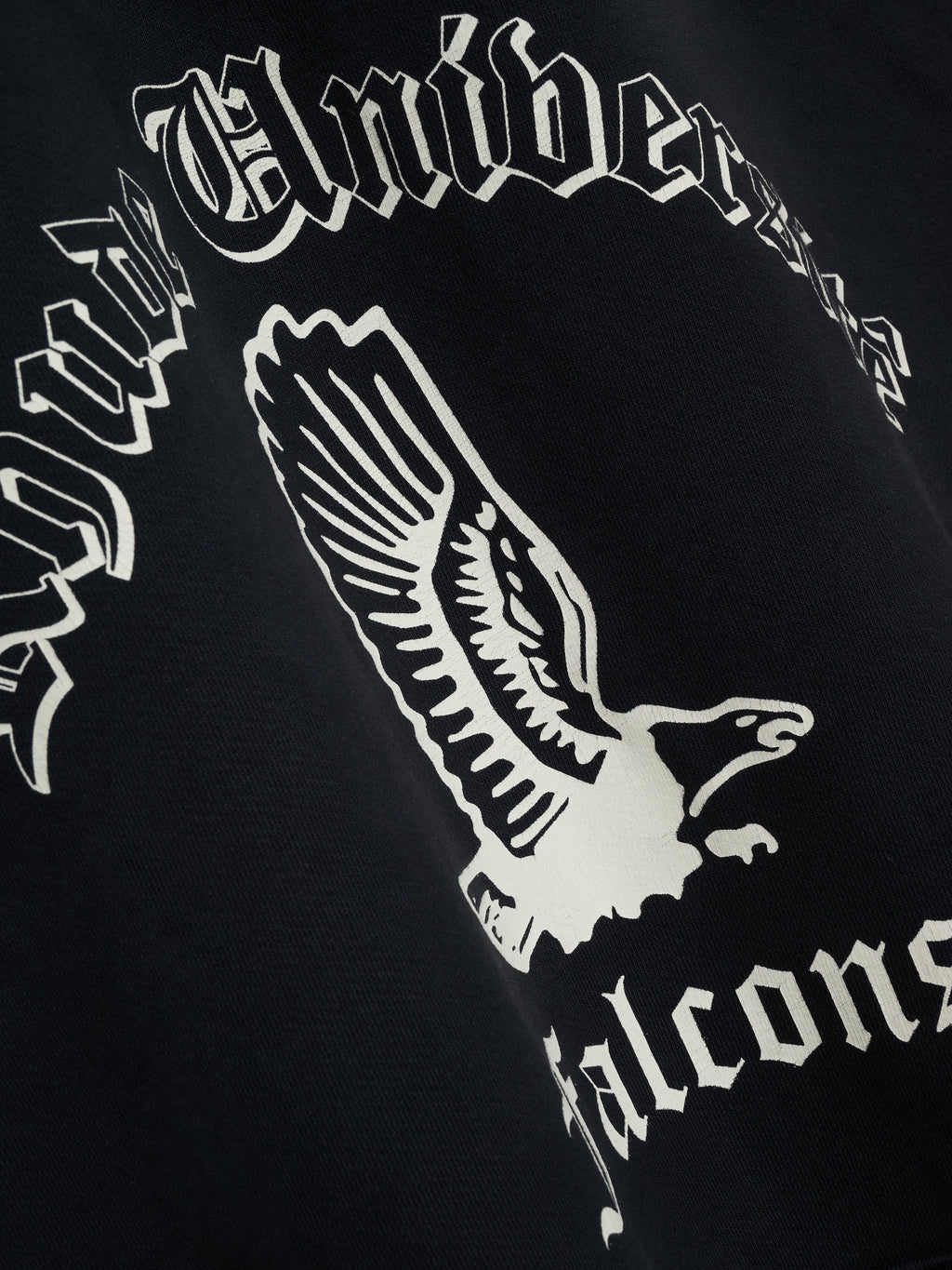 COLLEGIATE FALCONS HOODIE